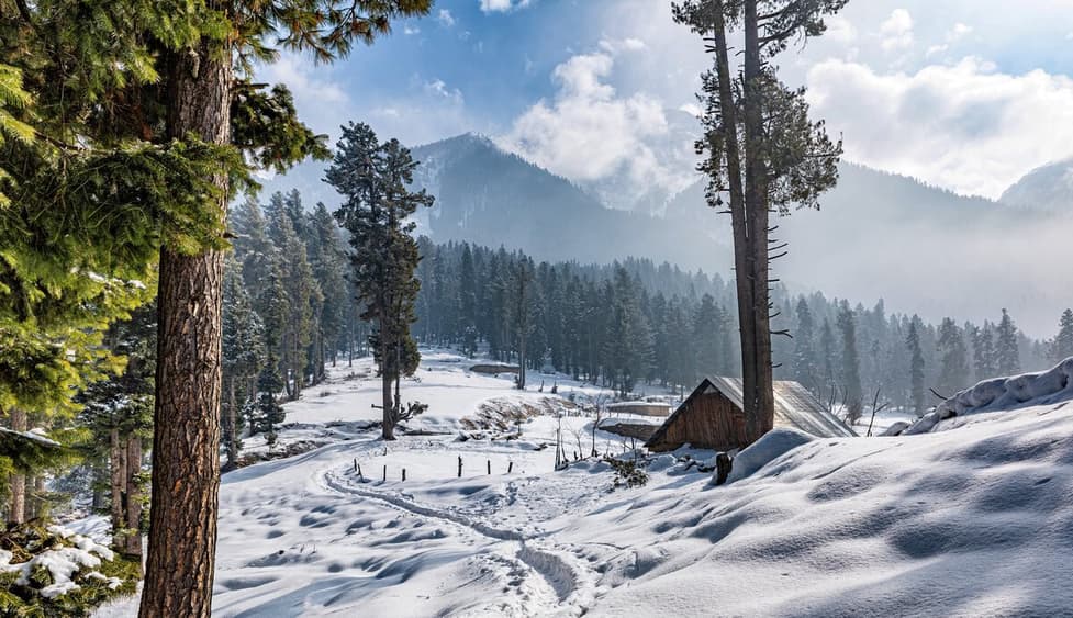 Manali 1